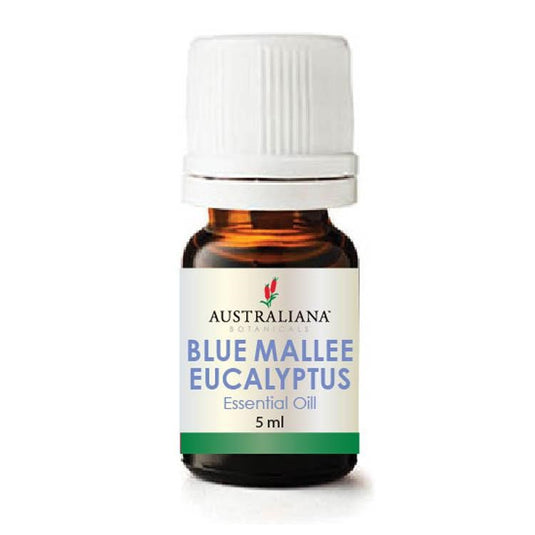 Blue Mallee Eucalyptus essential oil