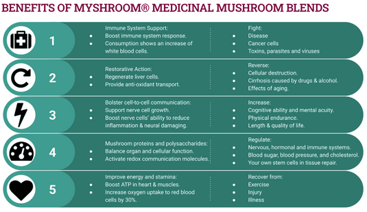 Immune Health Mushroom Blend